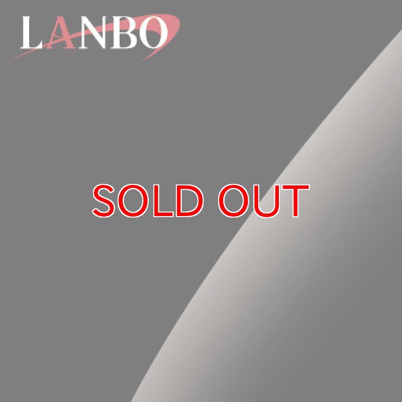 画像4: LANBO 3Dインテリアパネル 16ピースセット　NOAH/VOXY ZRR70系 (4)