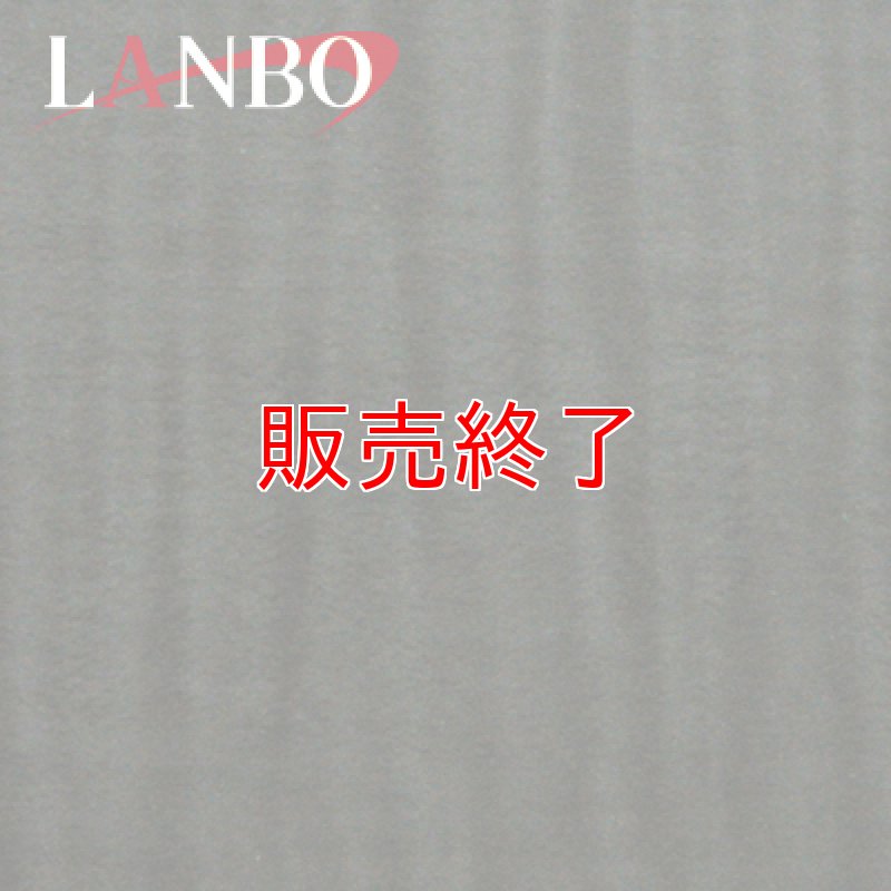 画像4: LANBO 3Dインテリアパネル 42ピースセット　ESTIMA 50系 (4)