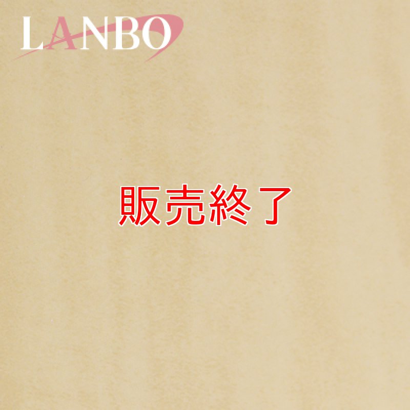 画像2: LANBO 3Dインテリアパネル 42ピースセット　ESTIMA 50系 (2)