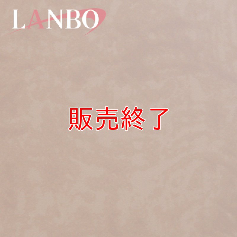 画像6: LANBO 3Dインテリアパネル 18ピースセット　アルファード MNH/ANH10・15 (6)