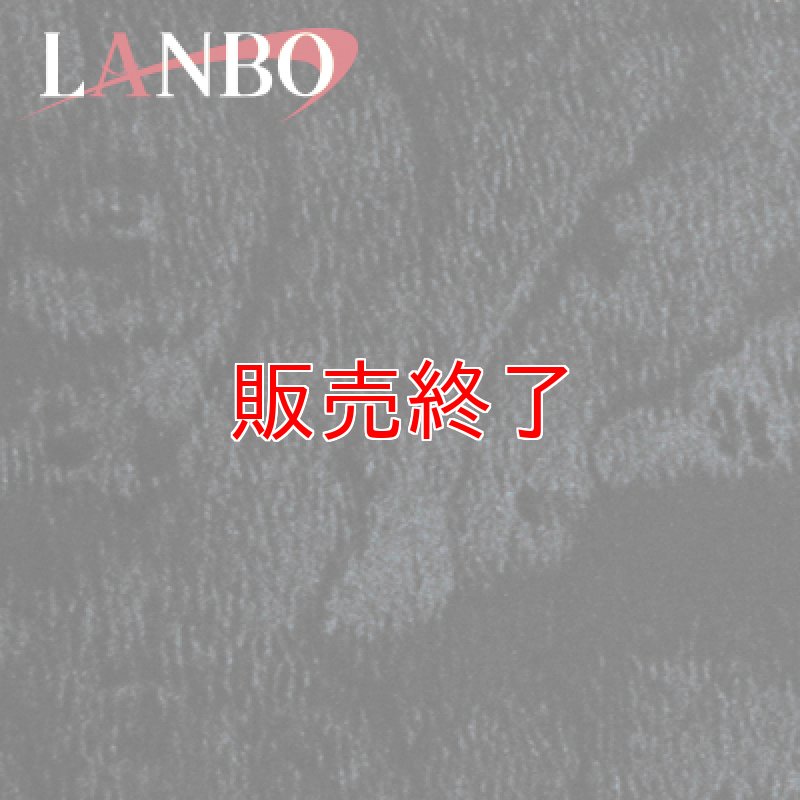 画像4: LANBO 3Dインテリアパネル 18ピースセット　アルファード MNH/ANH10・15 (4)