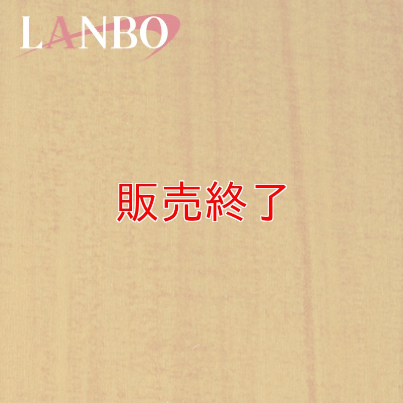 画像6: LANBO 3Dインテリアパネル 42ピースセット　ESTIMA 50系 (6)