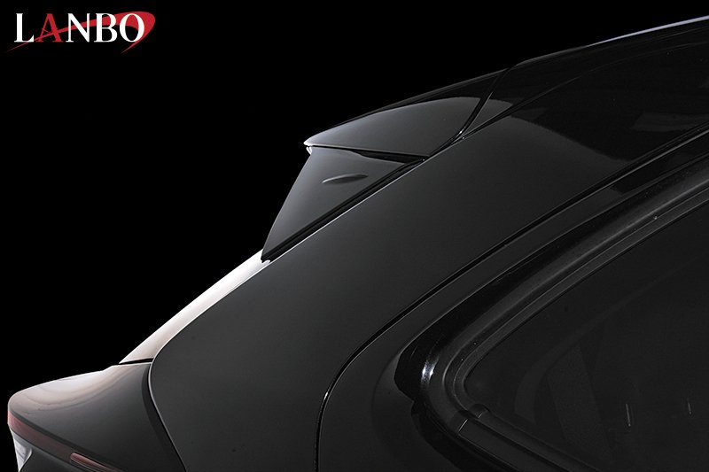 ブラックマイカ209