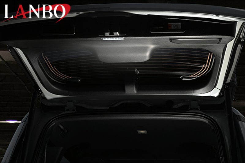 画像3: LANBO バックドアLEDランプ［ランドクルーザー250 GDJ250W/TRJ250W］ (3)