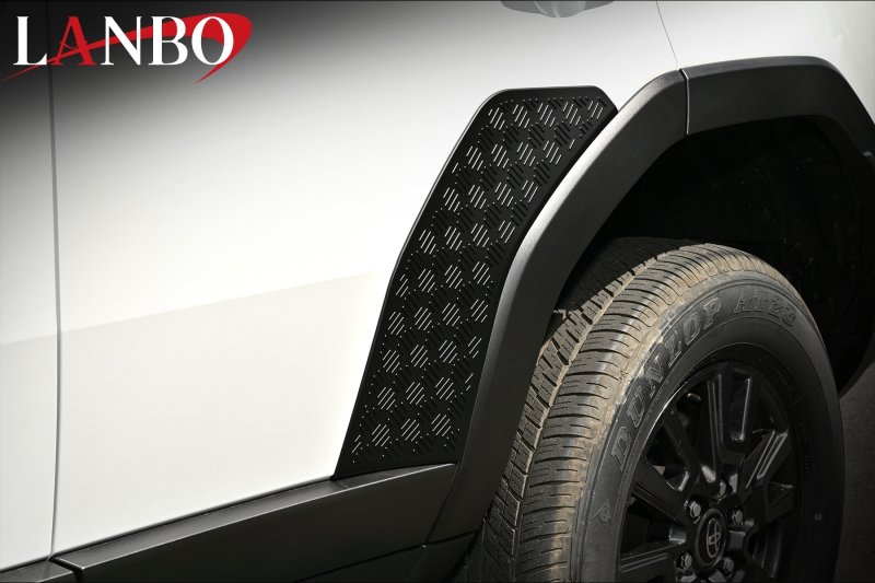 画像1: LANBO リアドアサイドガーニッシュ［ランドクルーザー250　TRJ250W］ (1)