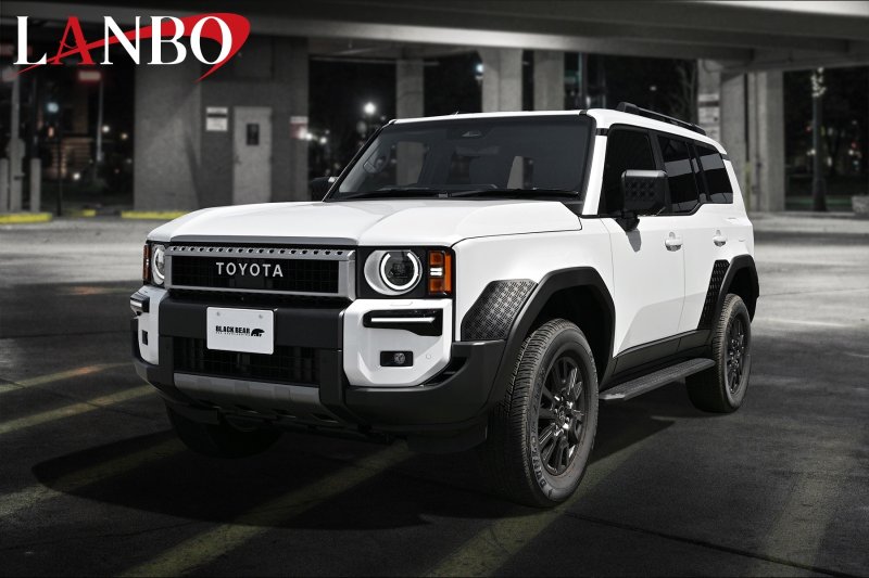 画像5: LANBO フロントフェンダーガーニッシュ［ランドクルーザー250　GDJ250W/TRJ250W］ (5)