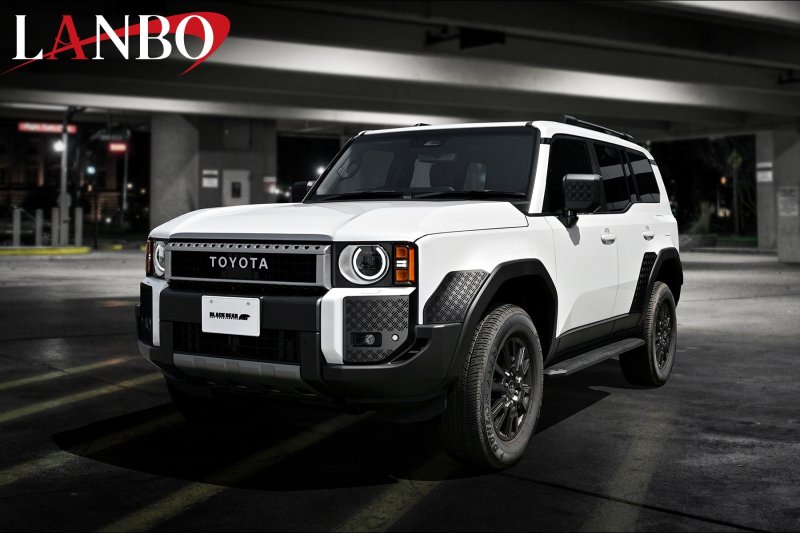 画像3: LANBO フロントバンパーガーニッシュ［ランドクルーザー250　GDJ250W/TRJ250W］ (3)