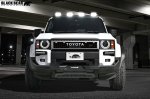 画像1: BLACK BEAR フロントバンパーガード 　ランドクルーザー250 [GDJ250W/TRJ250W］ (1)