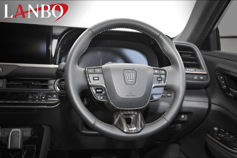 画像7: LANBO   ステアリングスイッチガーニッシュ【アルファード／ヴェルファイア 40系】 (7)