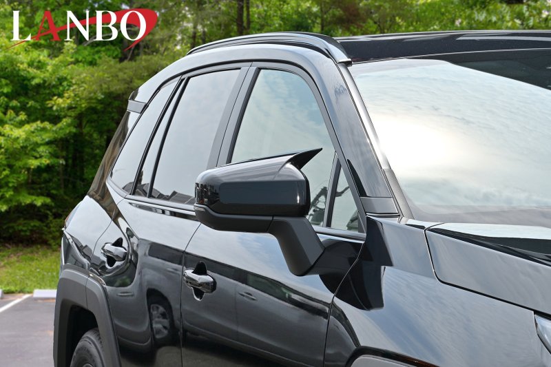 画像1: LANBO エアロ ドアミラーカバー【RAV4　AXAP/AXAN64】 (1)