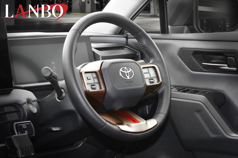 画像22: LANBO   ステアリングスイッチガーニッシュ【RAV4　AXAP/AXAN64】 (22)