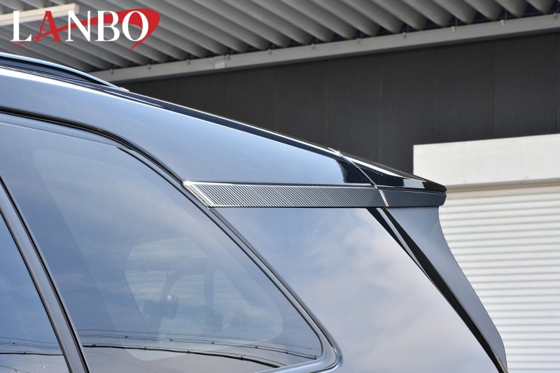 画像3: LANBO リアピラーガーニッシュ【RAV4　AXAP/AXAN64】 (3)